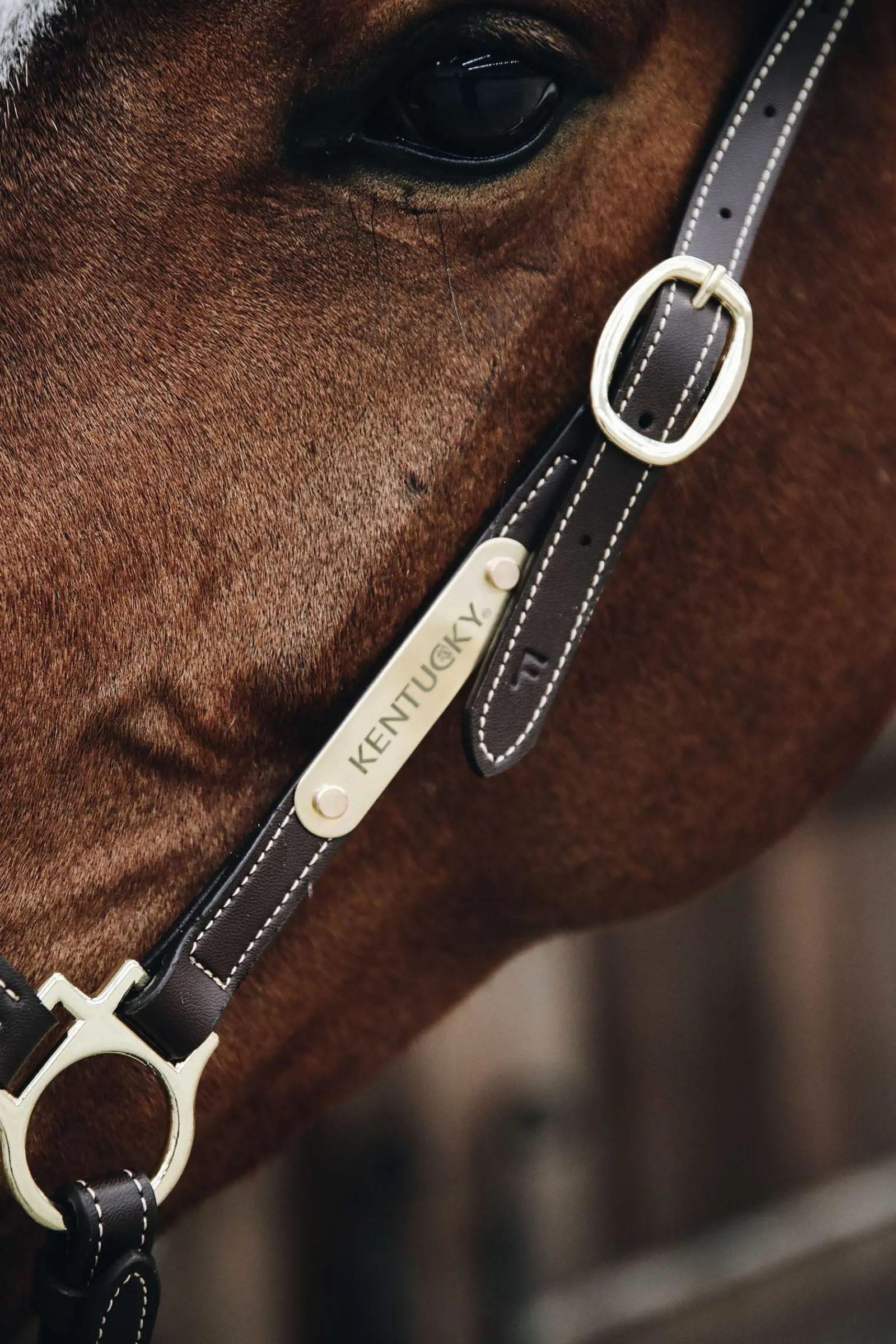 Horsewear lærgrime for stell Lærgrimer