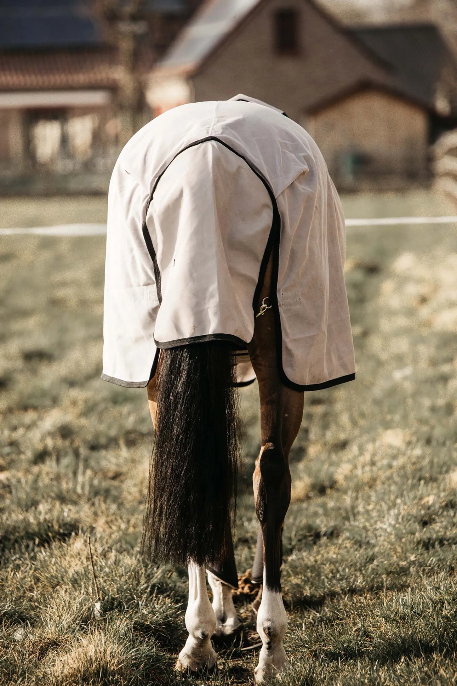 Horsewear Mesh Fly Rug Insektsdekken|Insektsdekken