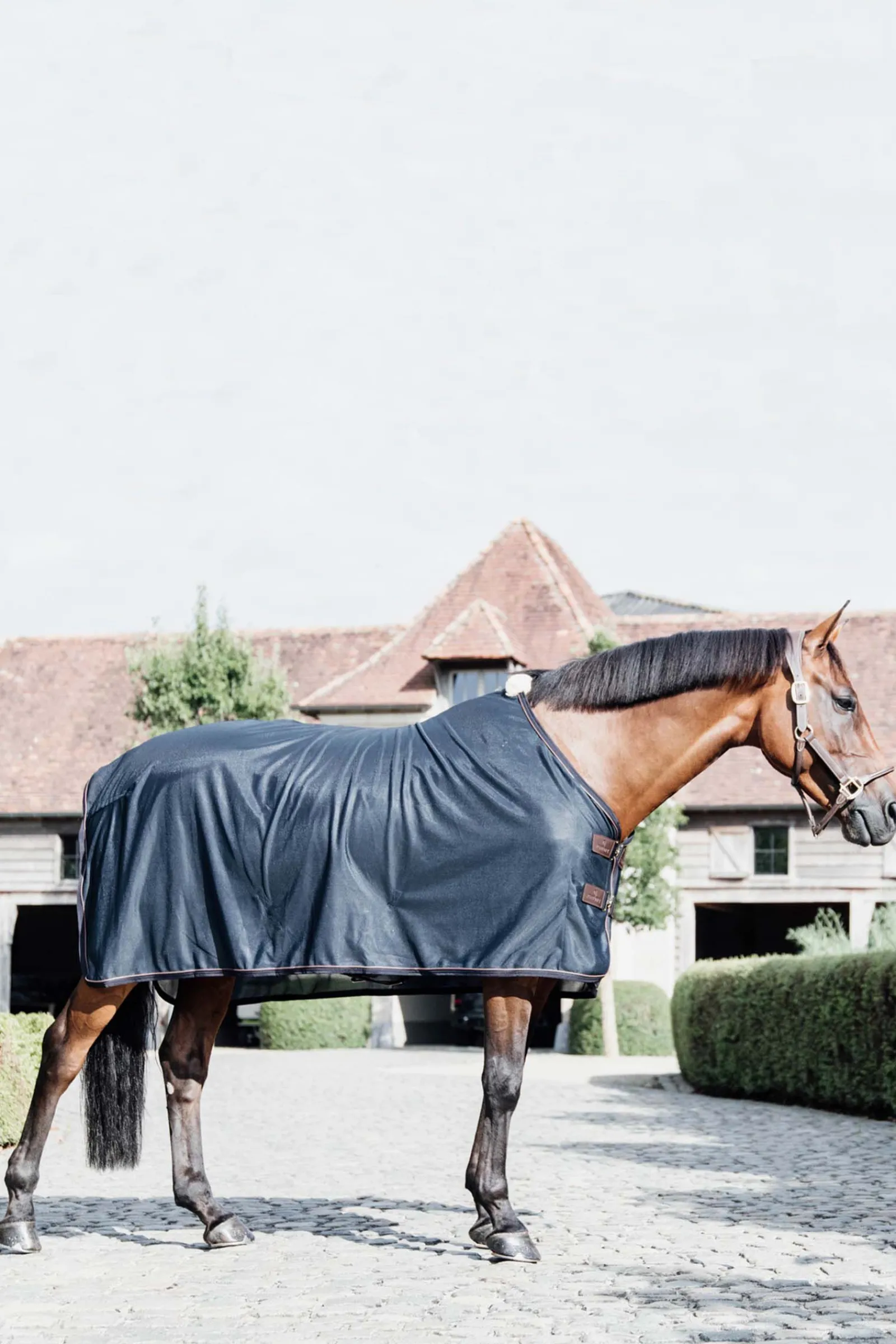 Clearance Horsewear Mesh fluedekken Insektsdekken|Insektsdekken