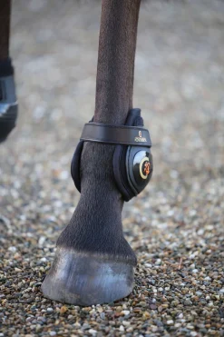 Outlet Horsewear Moonboots, bakbein Bakbeinsbelegg Og Stryksokker