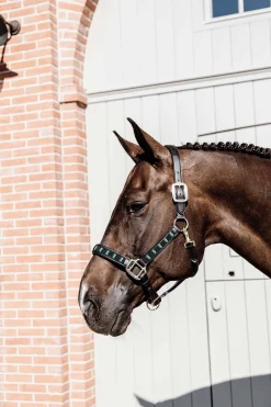 Horsewear Pearls grime Grimer