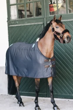 Sale Horsewear Recuptex magnetisk dekken Terapidekken