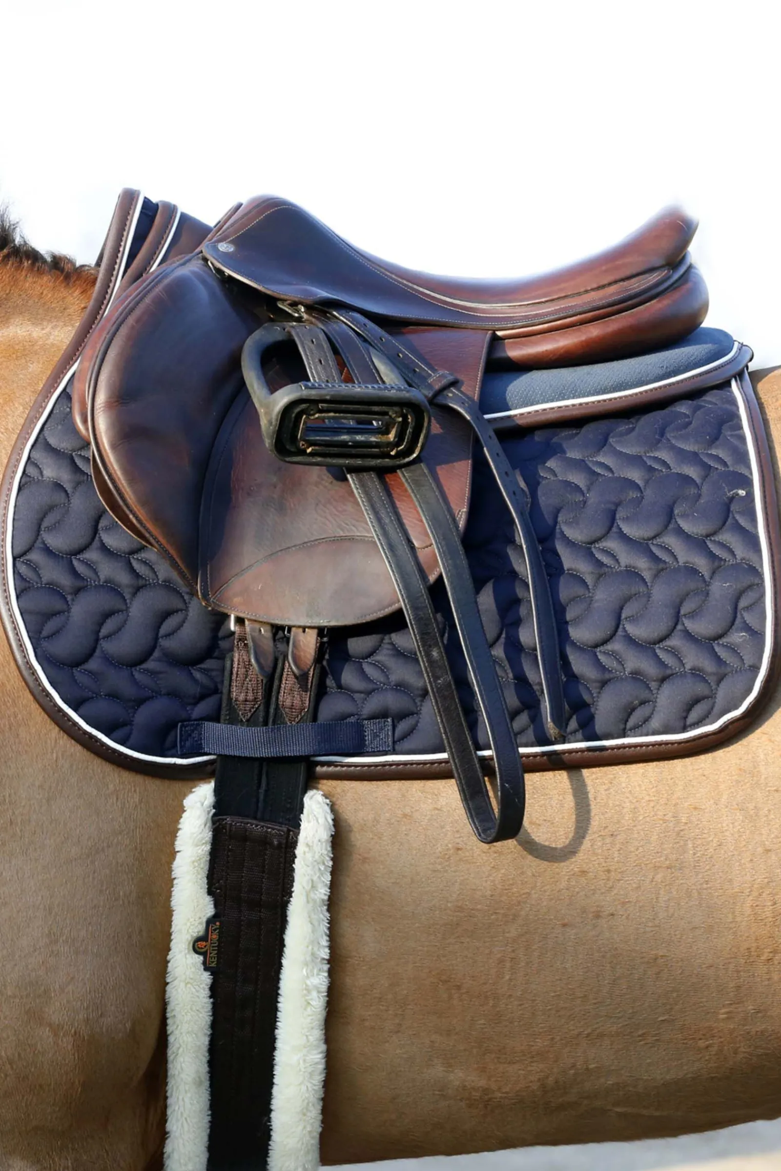 Discount Horsewear saueskinn gjord Gjorder