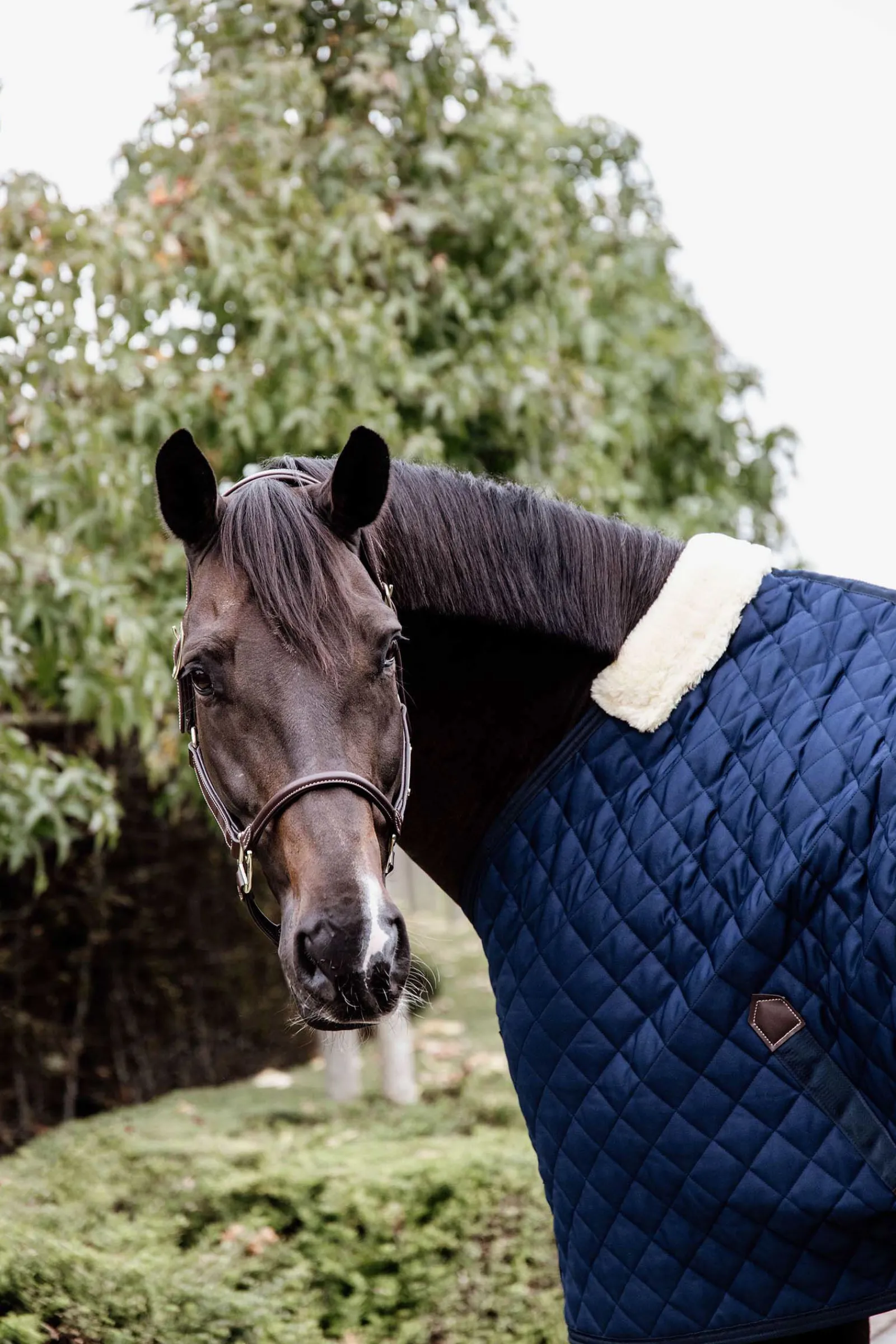 Clearance Horsewear stalldekken, 200 gram Stalldekken