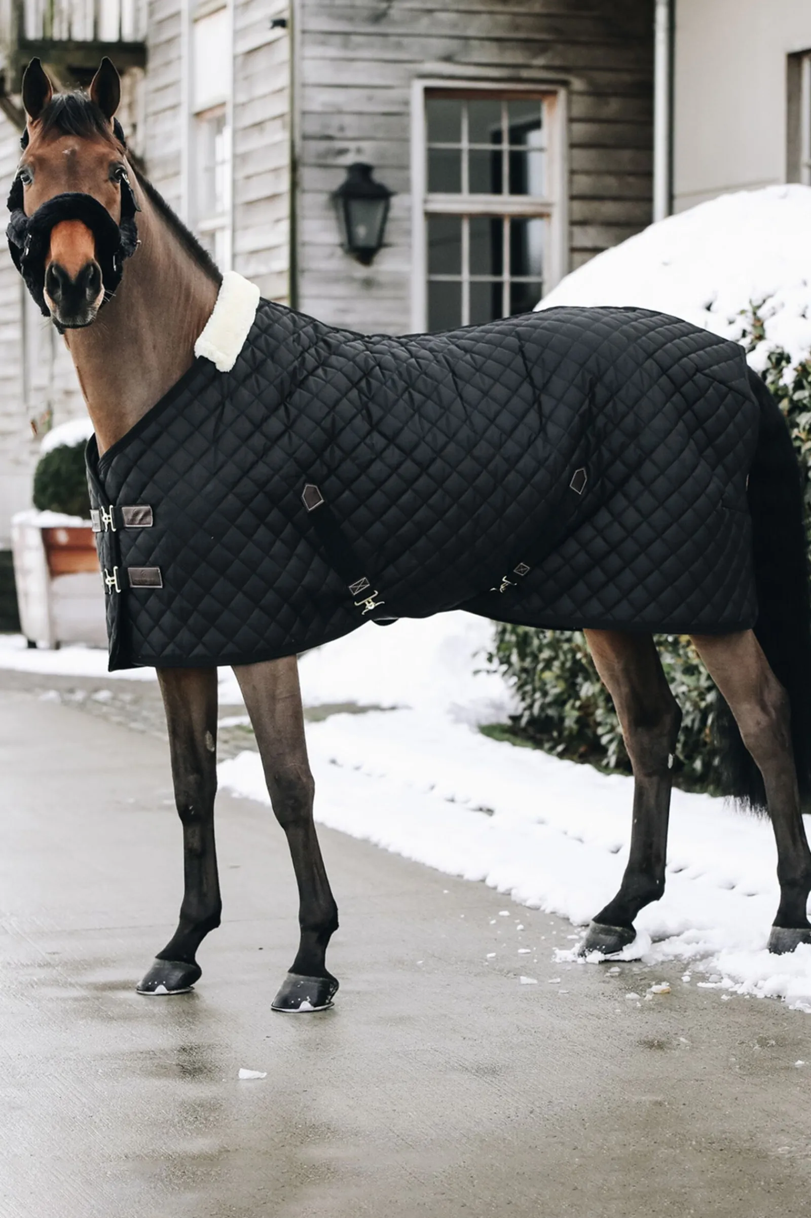 Discount Horsewear stalldekken, 400 gram Stalldekken