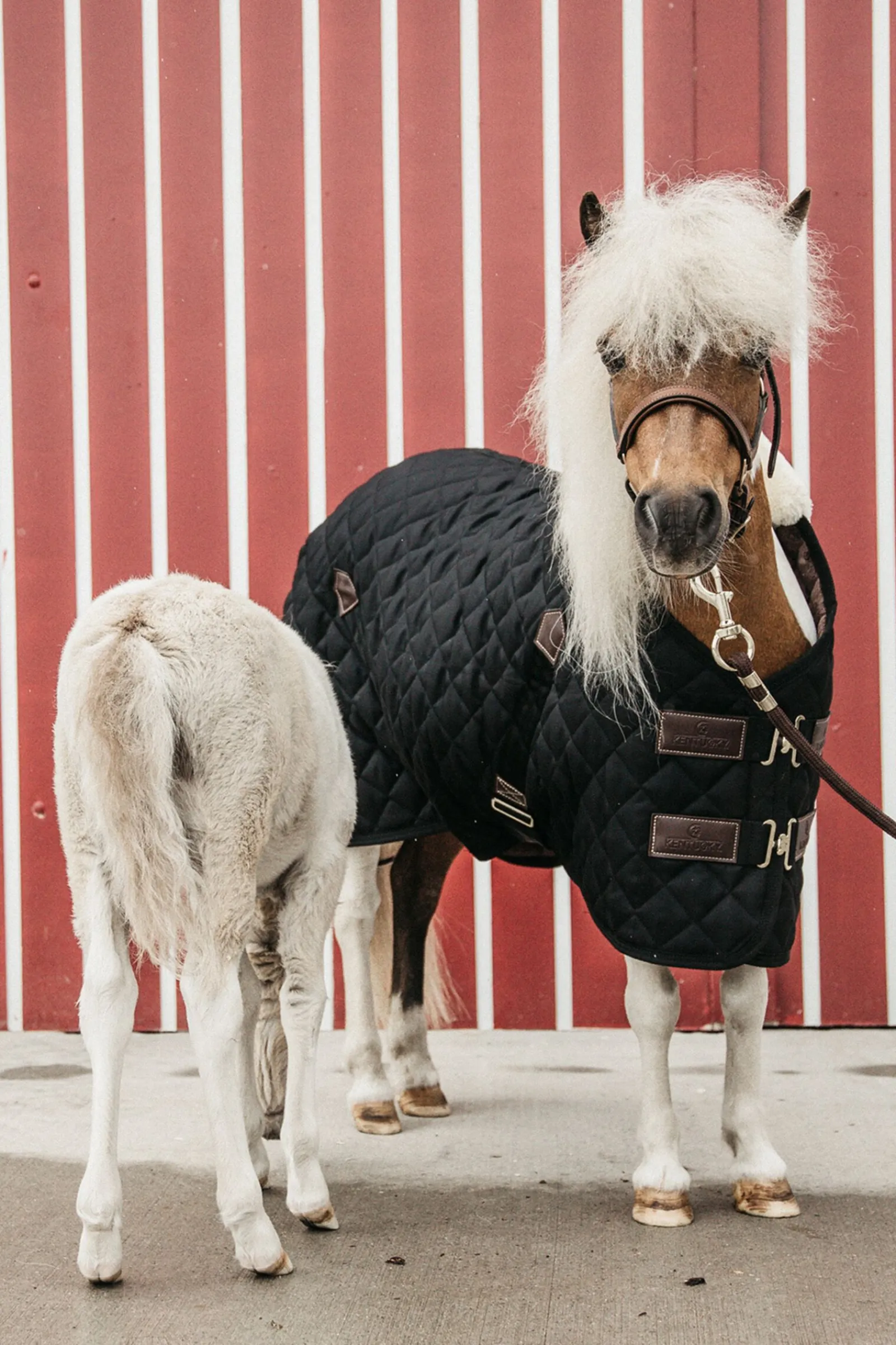 Discount Horsewear stalldekken, 400 gram Stalldekken