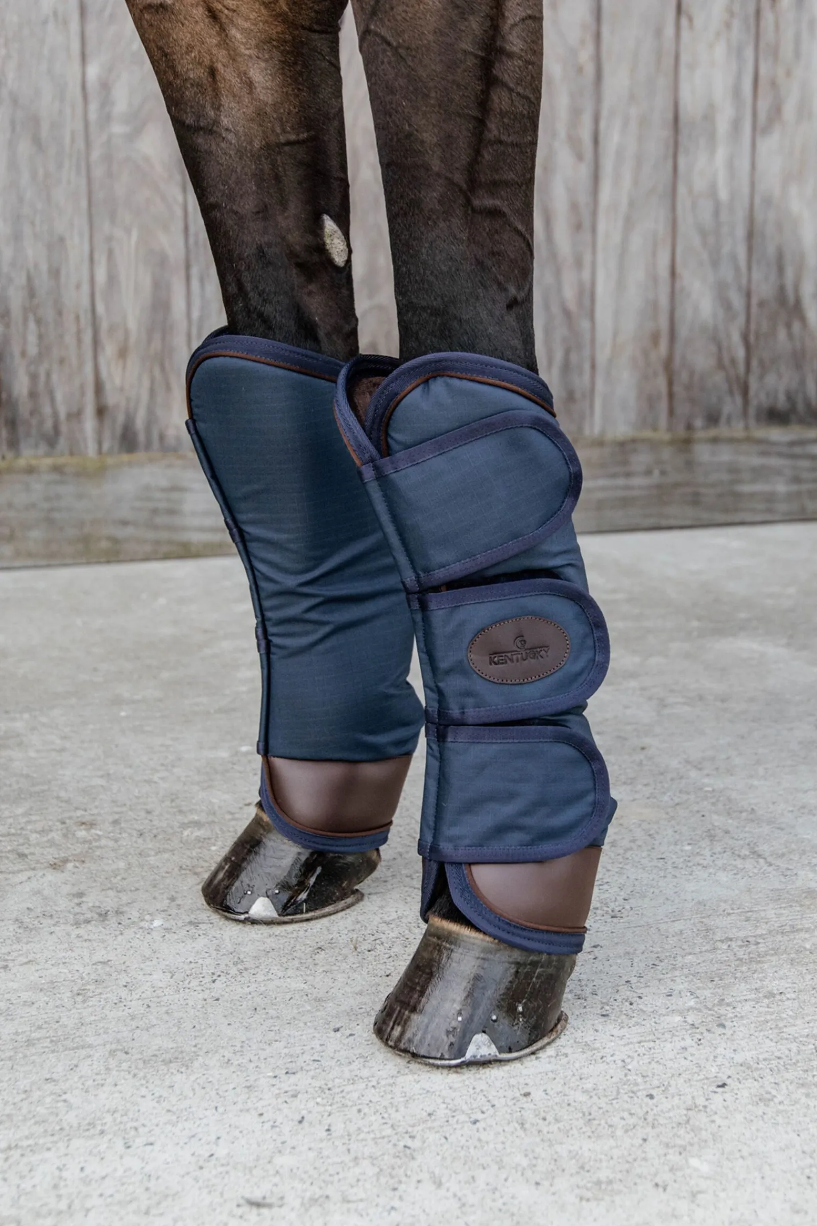 Hot Horsewear transportbelegg Belegg Til Hest