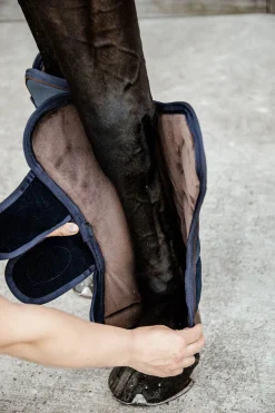 Hot Horsewear transportbelegg Belegg Til Hest