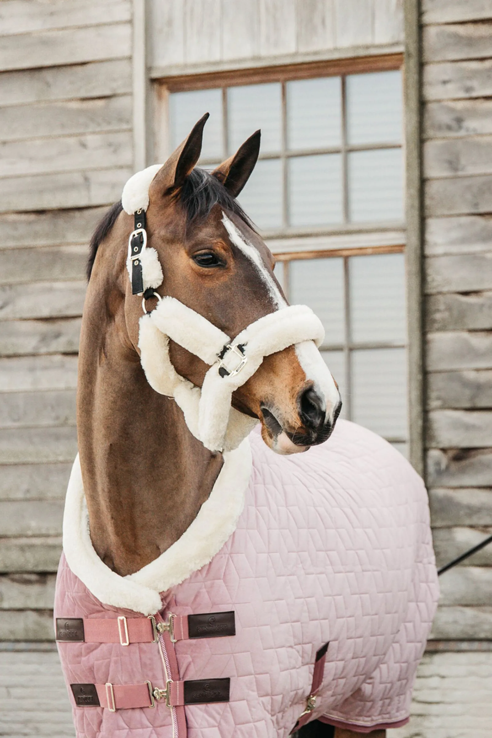 Sale Horsewear  Velvet stevnedekken, 160 gram Stalldekken