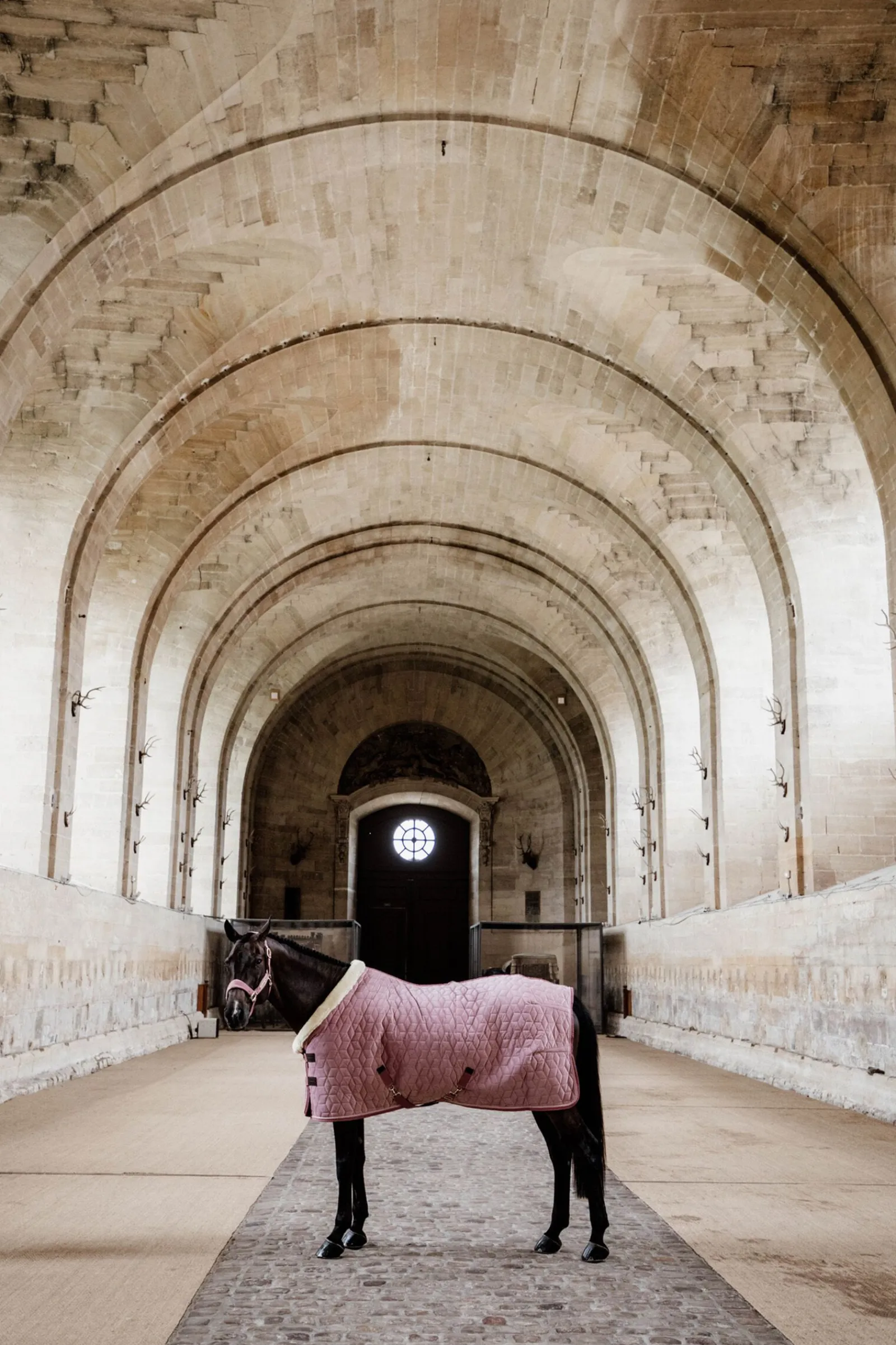 Sale Horsewear  Velvet stevnedekken, 160 gram Stalldekken