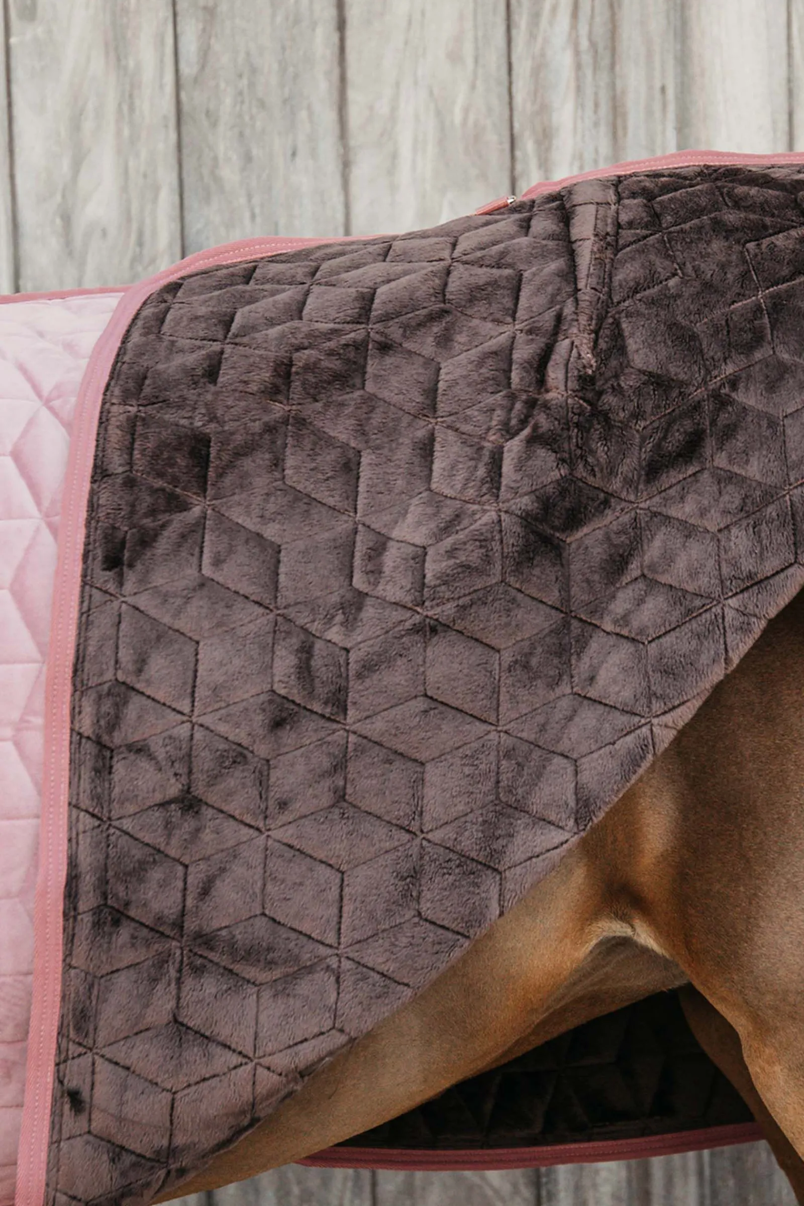 Sale Horsewear  Velvet stevnedekken, 160 gram Stalldekken