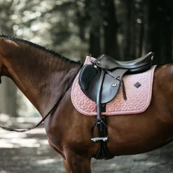 Sale Horsewear Velvet sprangsjabrak Ponni Sjabrak|Allround- Og Sprangsjabraker