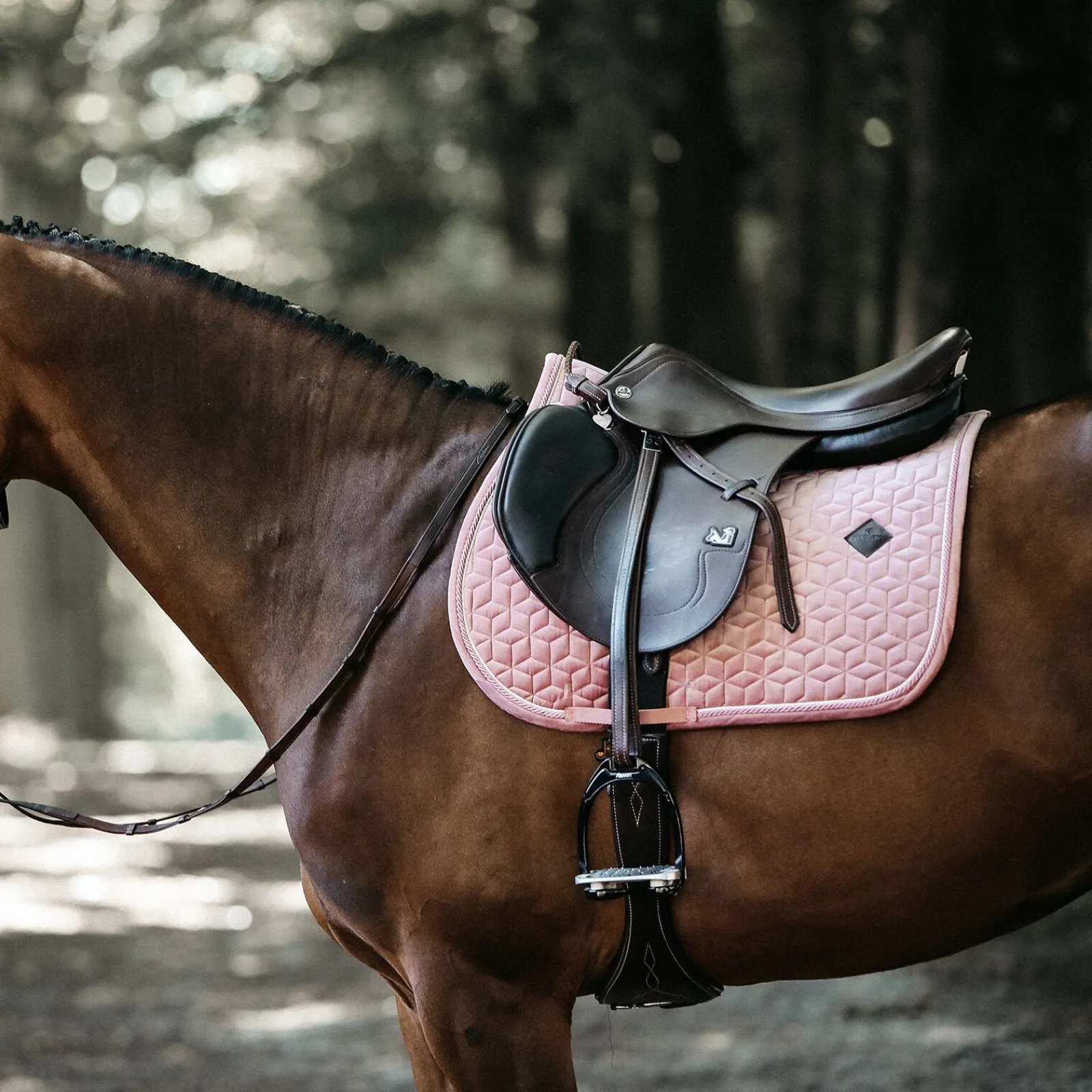 Sale Horsewear Velvet sprangsjabrak Ponni Sjabrak|Allround- Og Sprangsjabraker