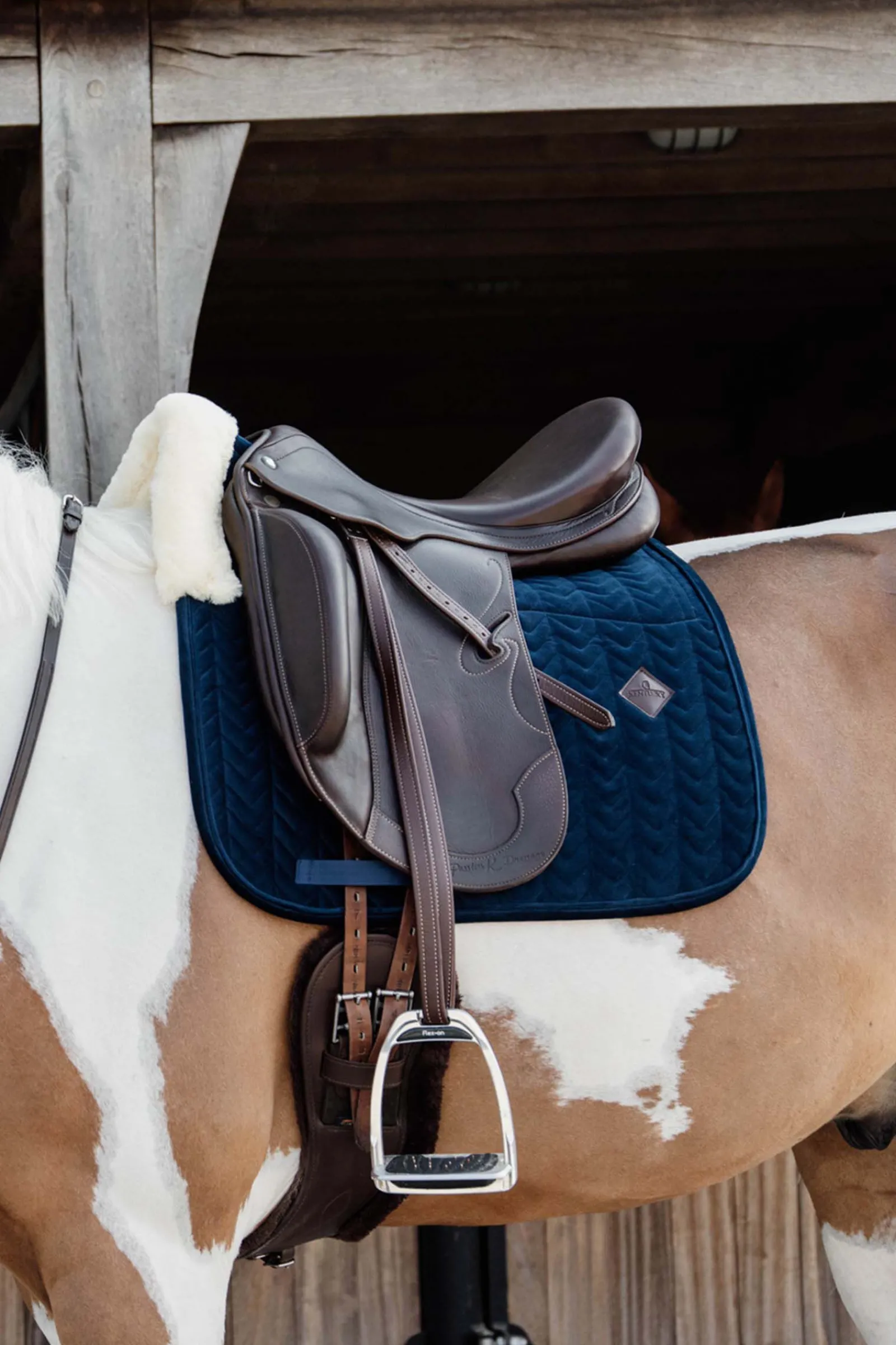 Online Horsewear Velvet Skin Friendly dressursjabrak Dressursjabraker