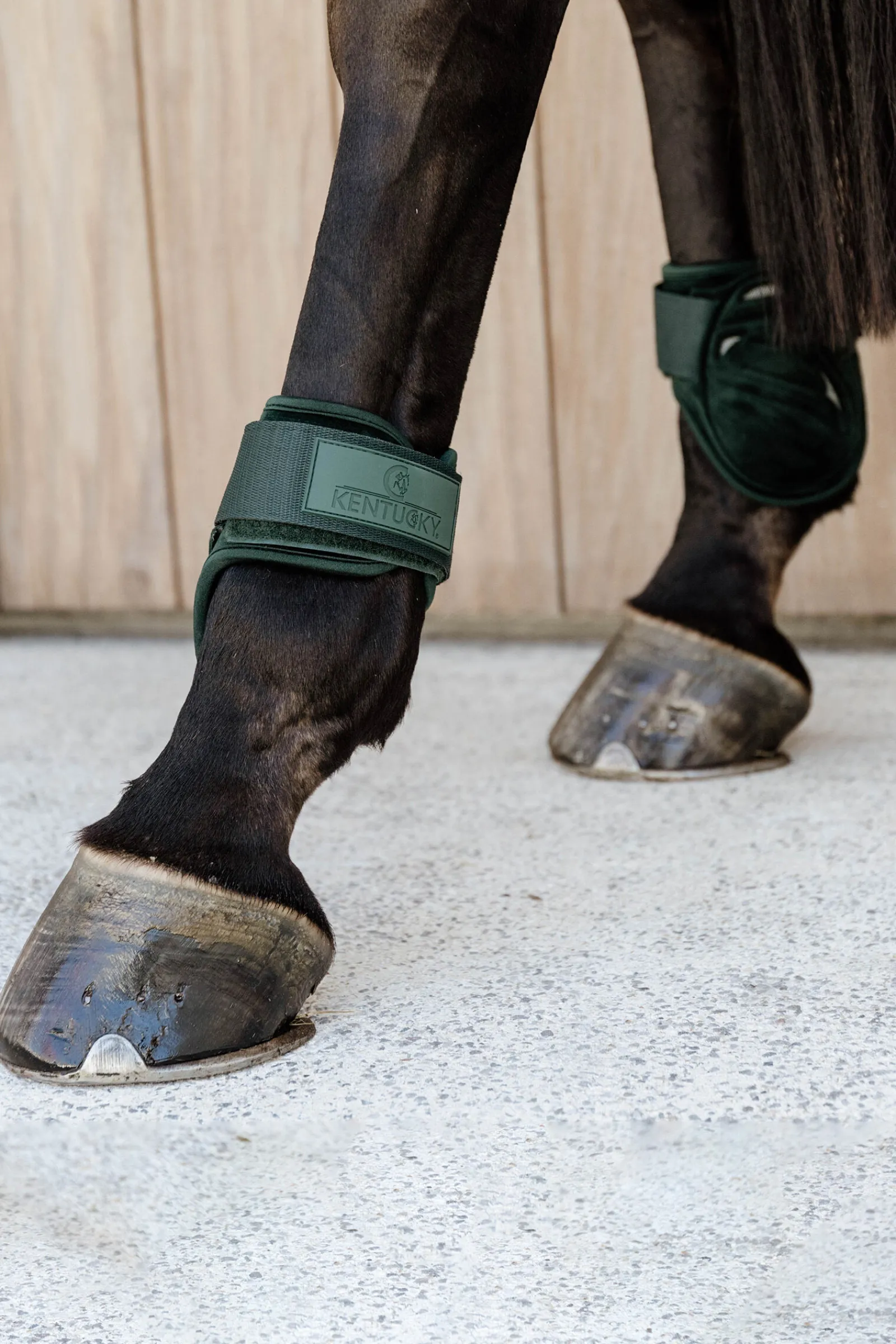 Online Horsewear Velvet Young Horse Fetlock-støvler Bakbeinsbelegg Og Stryksokker