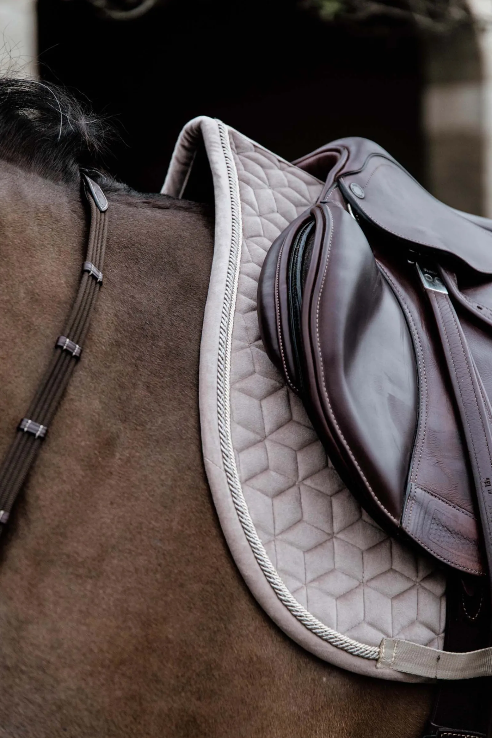 Online Horsewear Velvet Basic sprangsjabrak Ponni Sjabrak|Allround- Og Sprangsjabraker