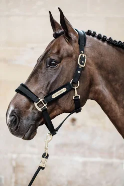 Online Horsewear Velvet grime Grimer