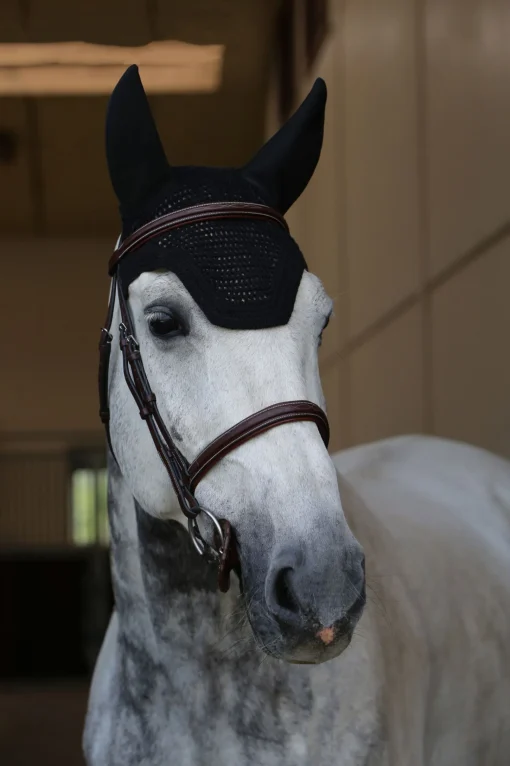 Outlet Horsewear Wellington ørehette lydtett Ørehetter|Ørehetter