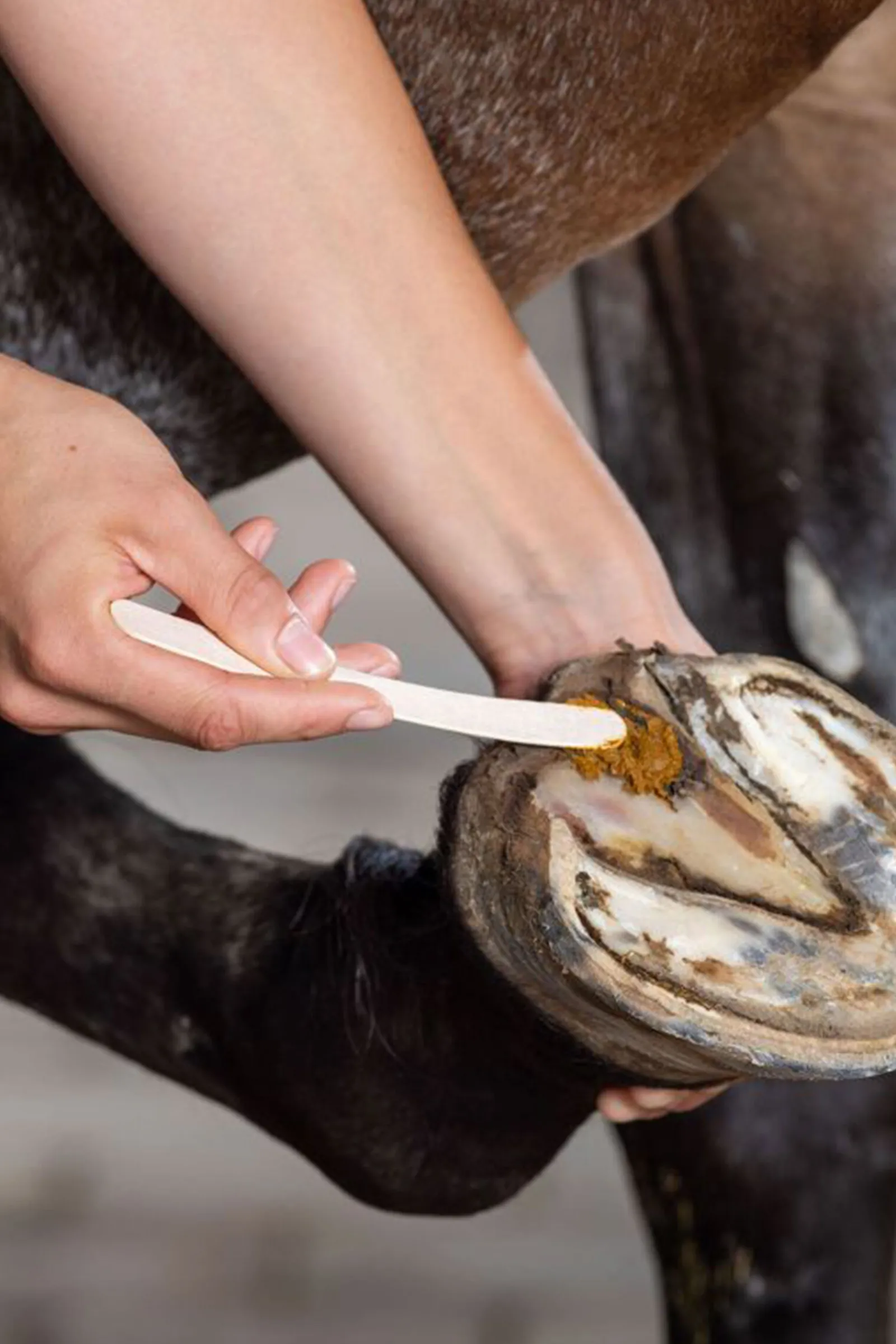 Best Undercover Pleiepasta, 235 g Hovpleie