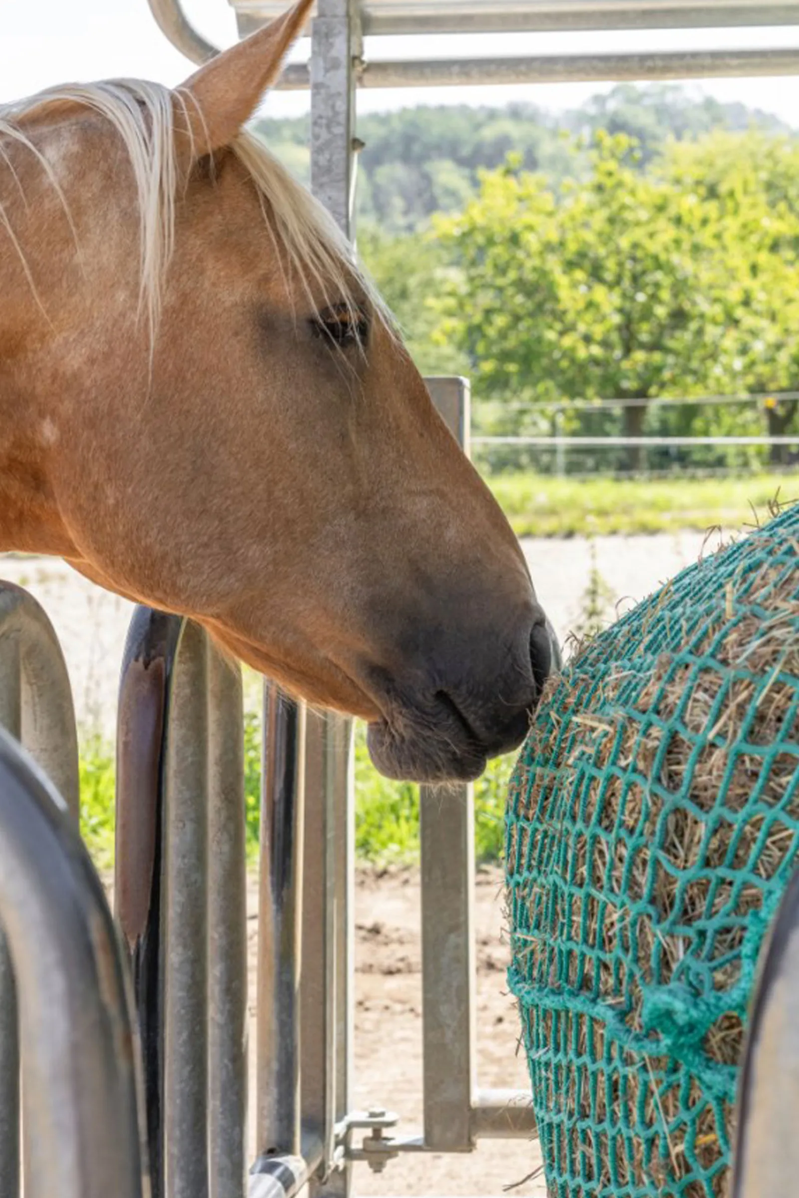 Outlet høynett for rundballer, hengende Høynett Og Høyposer