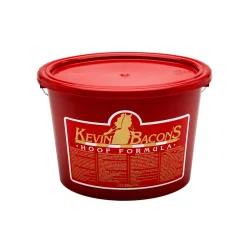 Online Kevin Bacon Tilskudd