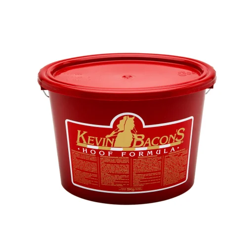 Online Kevin Bacon Tilskudd