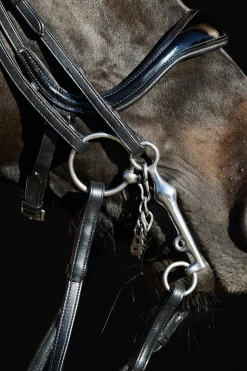 Sale Ultrasoft® Amy kandarhodelag Hodelag & Nesereimer