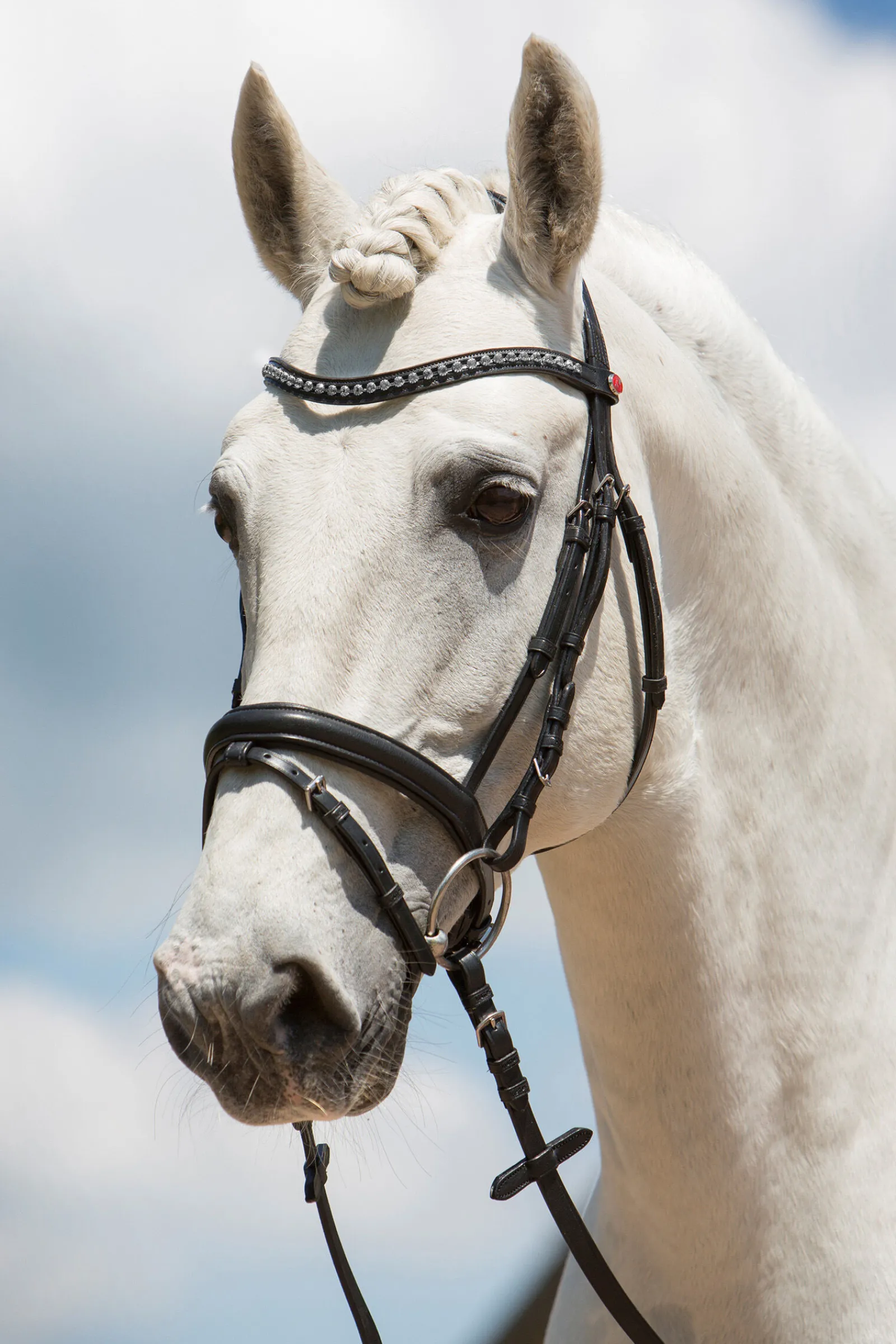 Clearance Ultrasoft® Fashion hodelag Ponni Hodelag Og Grimer|Hodelag & Nesereimer