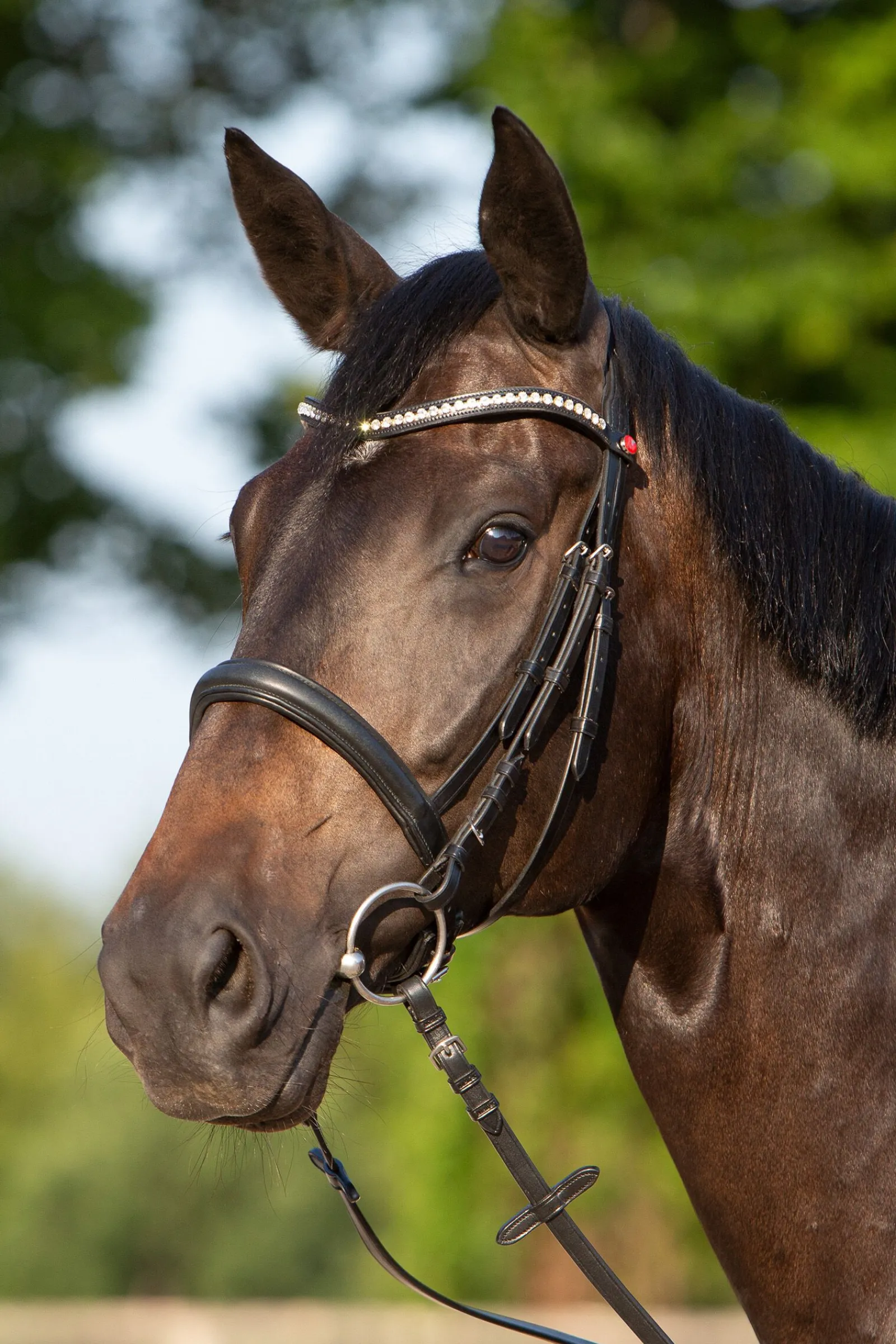 Clearance Ultrasoft® Sue hodelag Ponni Hodelag Og Grimer|Hodelag & Nesereimer