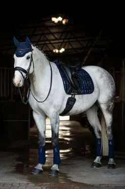 Clearance Adour Dressursalvepute Fyrkant Dressursjabraker