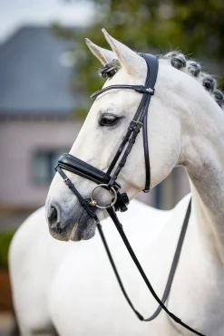 Online Classic dressurhodelag Ponni Hodelag Og Grimer|Hodelag & Nesereimer
