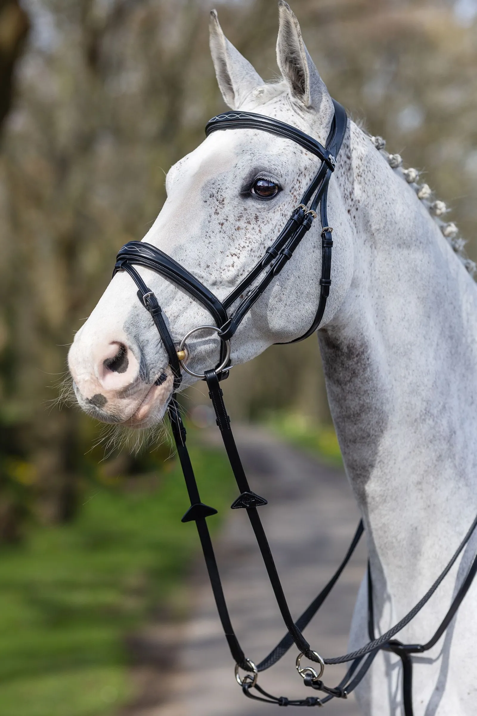 Online Competition Flash hodelag Ponni Hodelag Og Grimer|Hodelag & Nesereimer