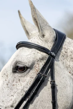 Online Competition Flash hodelag Ponni Hodelag Og Grimer|Hodelag & Nesereimer