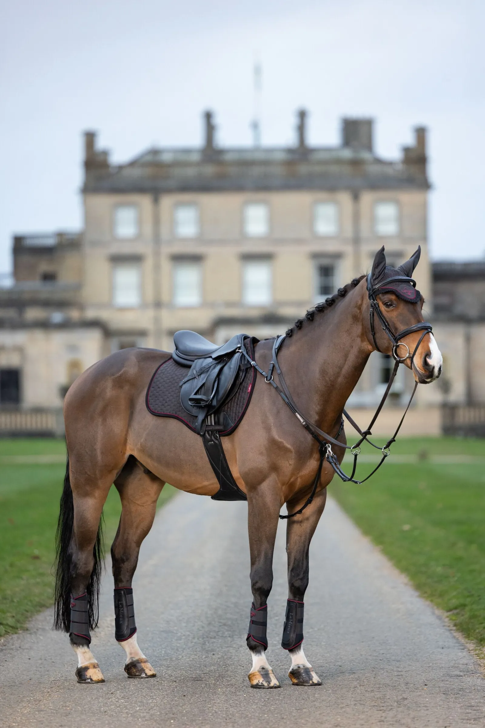 Discount Grafter stryksokker Belegg Til Hest