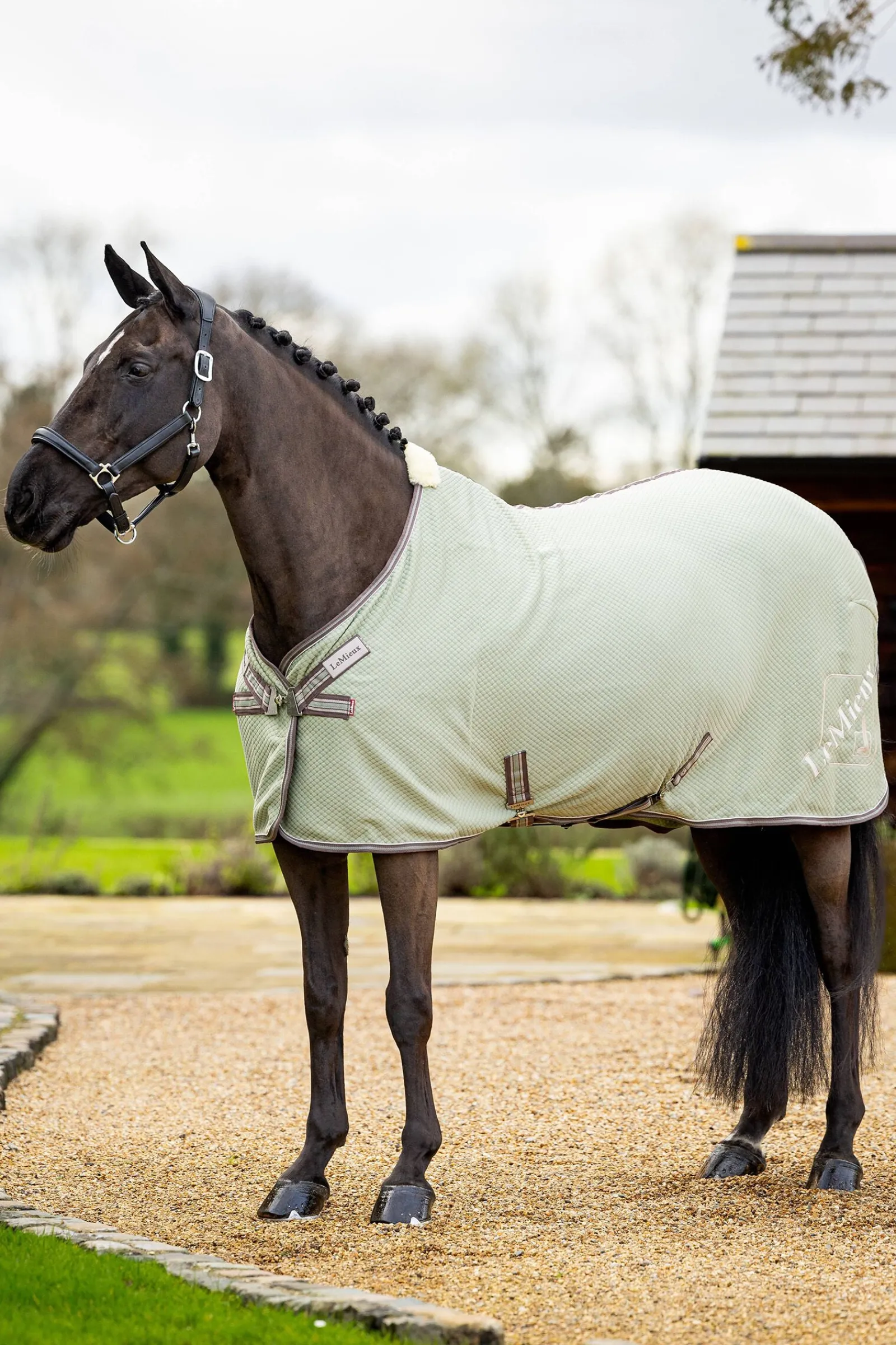 Online Kudos Bambus Absorberende dekken Ulldekken Og Svettedekken