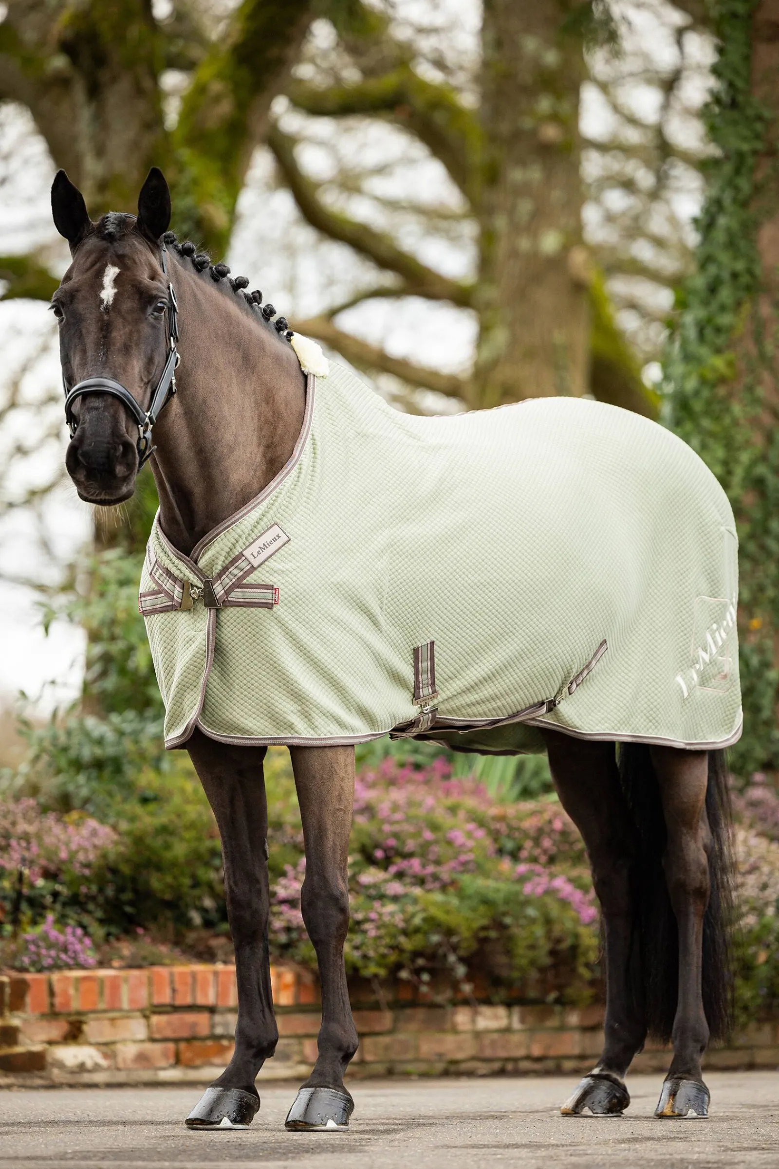 Online Kudos Bambus Absorberende dekken Ulldekken Og Svettedekken