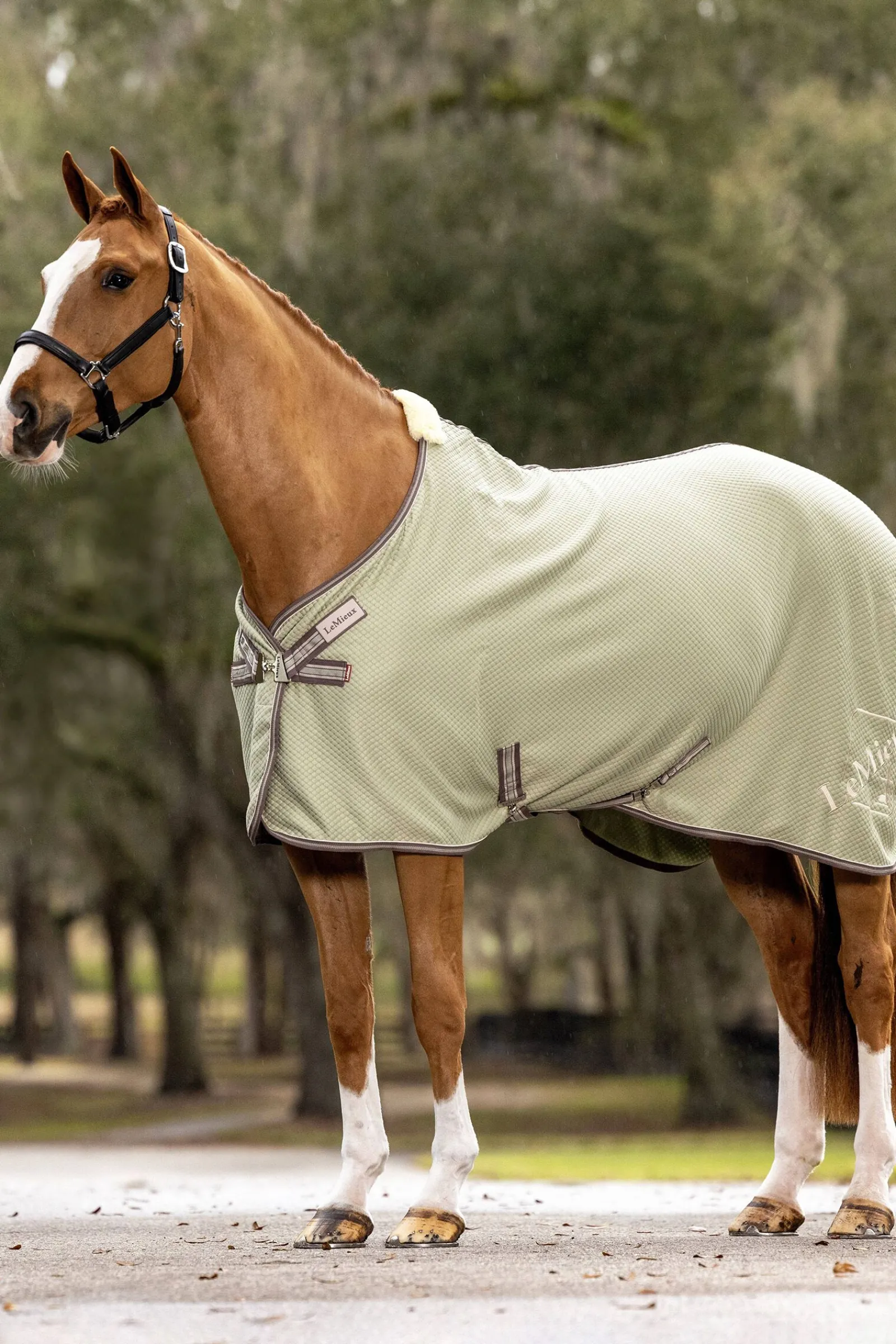 Online Kudos Bambus Absorberende dekken Ulldekken Og Svettedekken