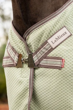 Online Kudos Bambus Absorberende dekken Ulldekken Og Svettedekken