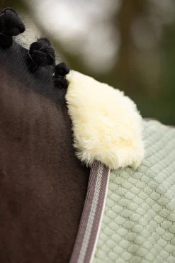 Online Kudos Bambus Absorberende dekken Ulldekken Og Svettedekken