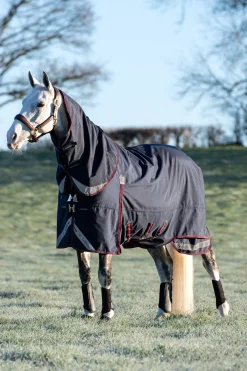 Online Kudos Lightweight Turnout Rug, 100g Regndekken