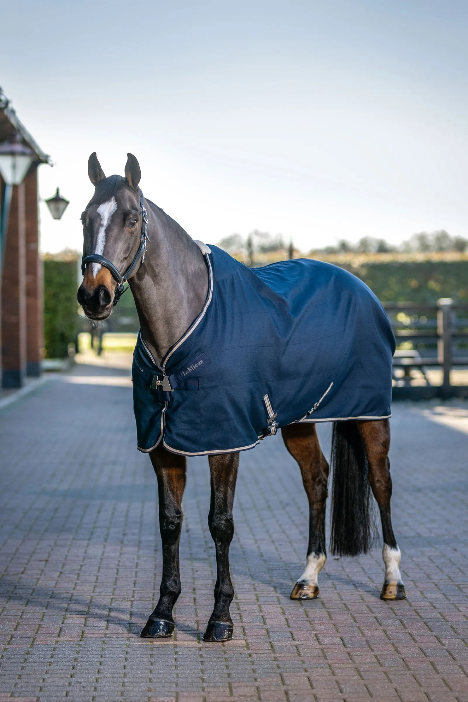 Sale Kudos Stable Sheet, 0g Stalldekken