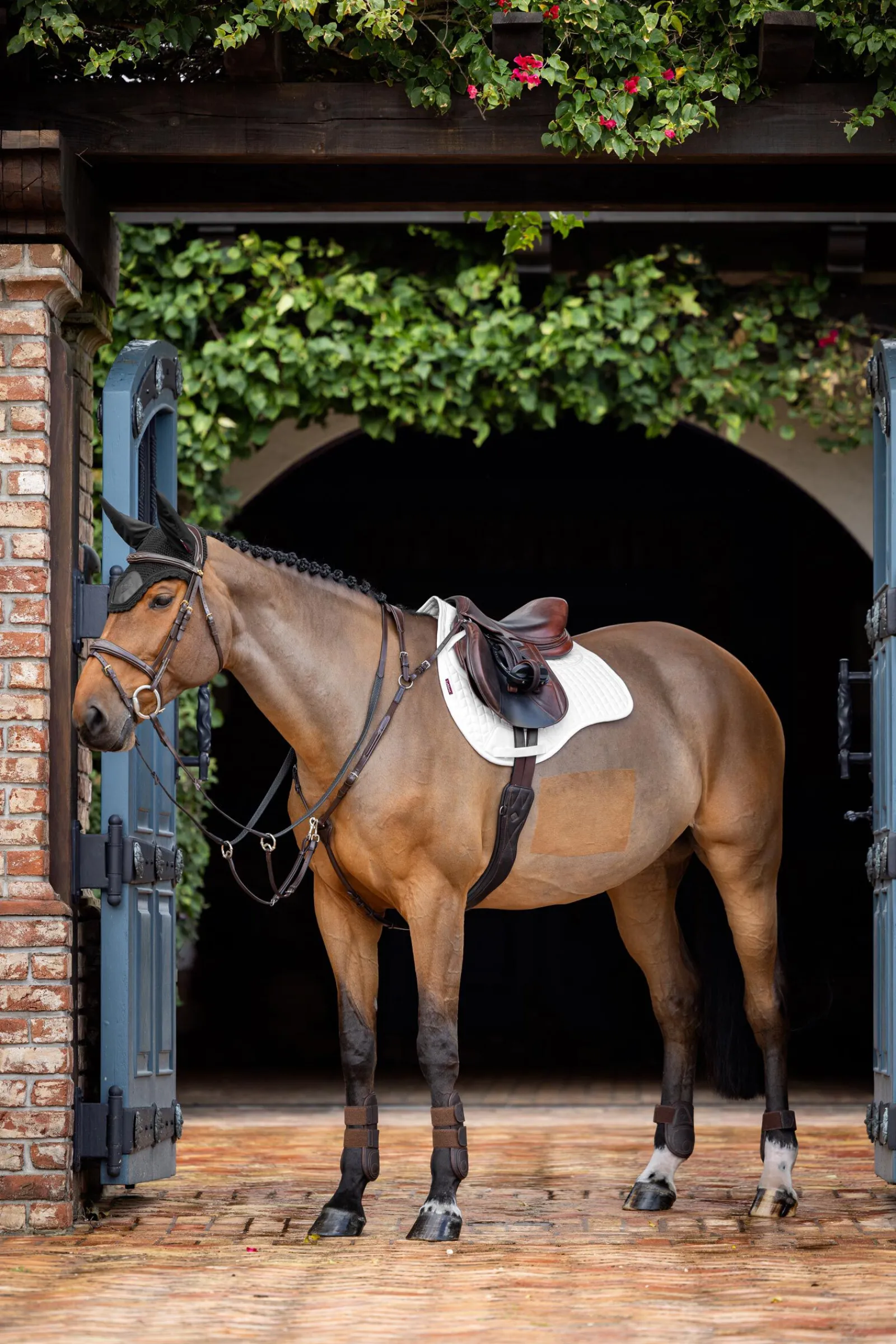 Clearance Prosorb Plain 2 Pocket Close Contact Pad Ponni Sjabrak|Allround- Og Sprangsjabraker