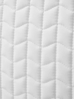 Clearance Prosorb Plain 2 Pocket Close Contact Pad Ponni Sjabrak|Allround- Og Sprangsjabraker