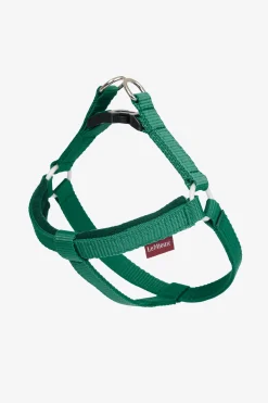 Online sele for lekedyrhund Hesteleker