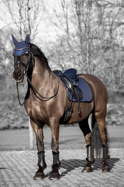 Best Square Bomulls Dressursjabrak Dressursjabraker