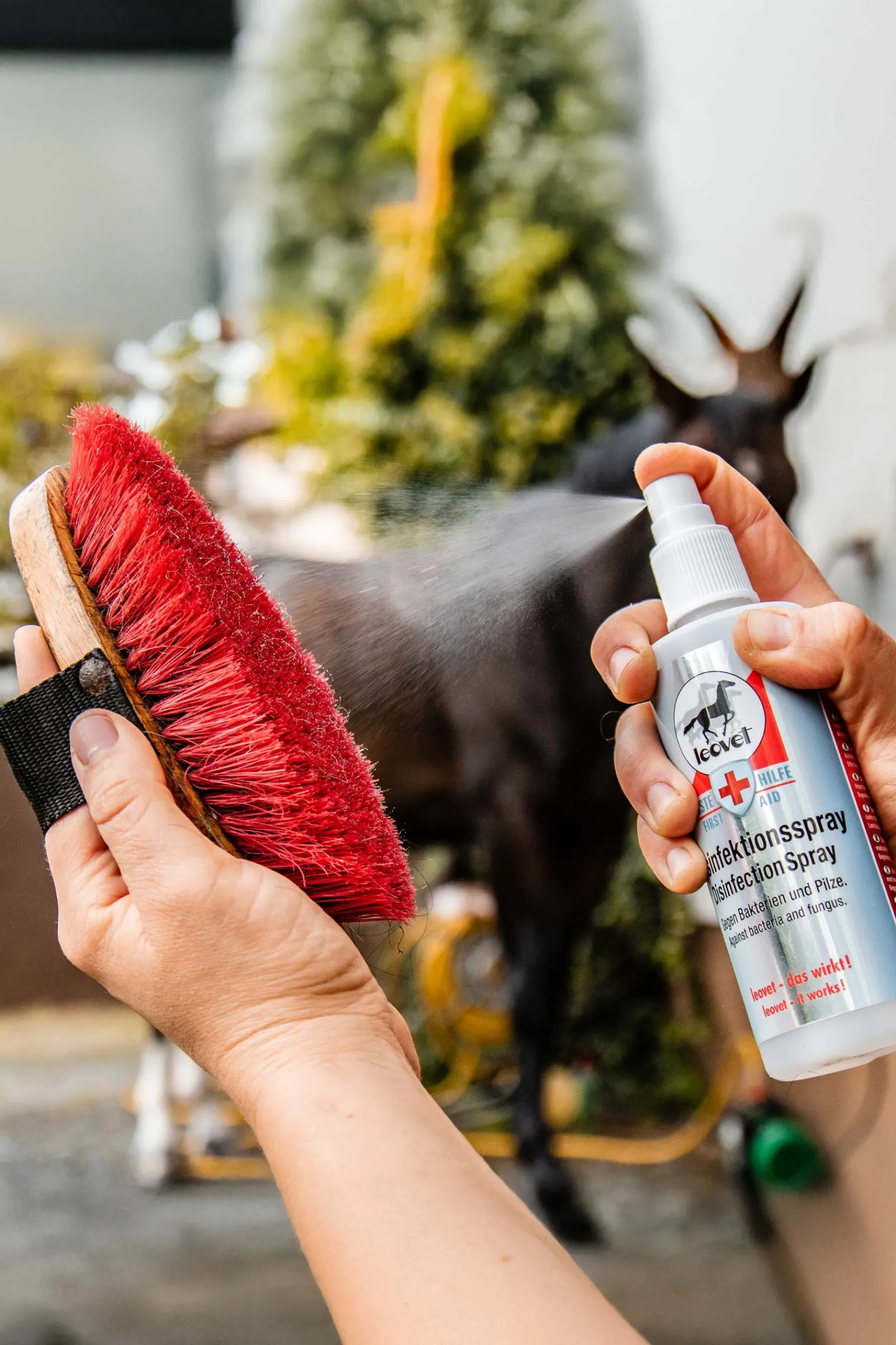 Hot desinfeksjonsspray Førstehjelp