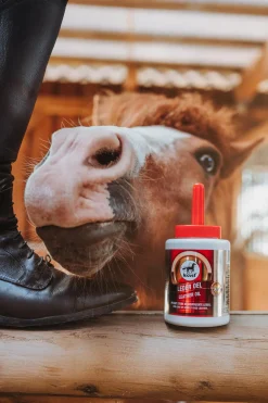 Online lærolje Vedlikehold Av Utstyret