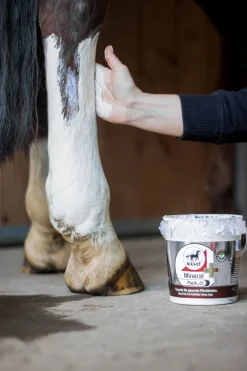 Online mineralpakke med arnika Førstehjelp