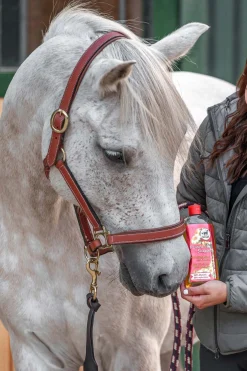New Power Shampoo med kamille for lyst hår Stell Pels, Hud Og Man