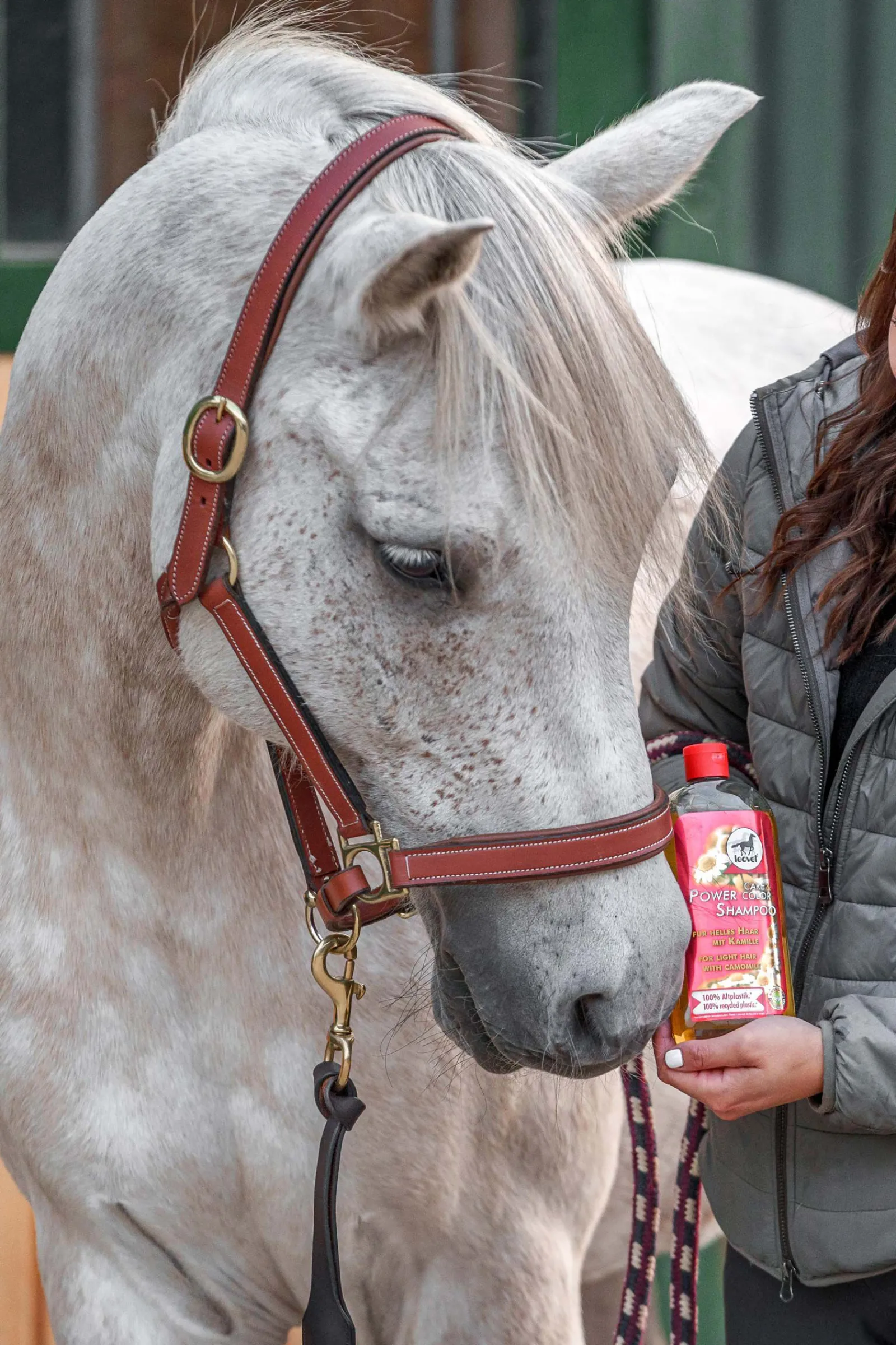 New Power Shampoo med kamille for lyst hår Stell Pels, Hud Og Man